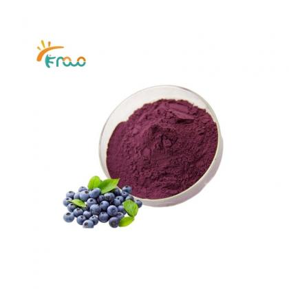  Blueberry Extract Powder Lieferanten
