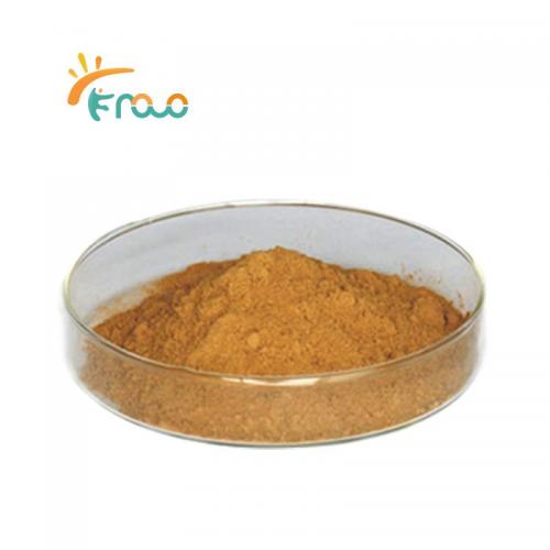 Factory Direct Sale Folium Mori Powder Mulberry Leaf Extract Folium Mori Extract Lieferanten