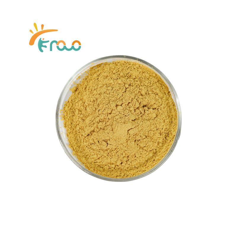 Organic Barberry Root Extract Powder