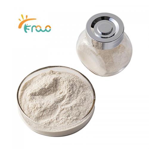  High Density Chitosan Powder Lieferanten