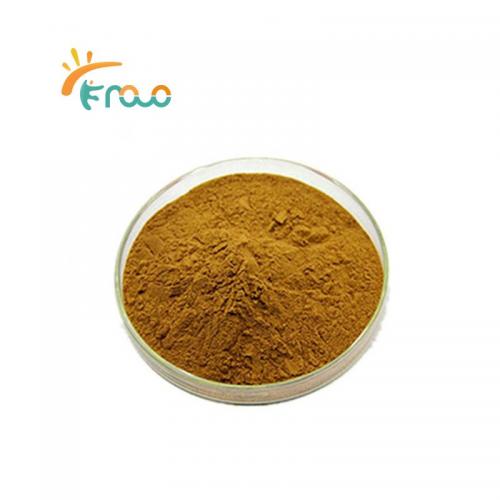  Black Ginger Extract Powder Lieferanten