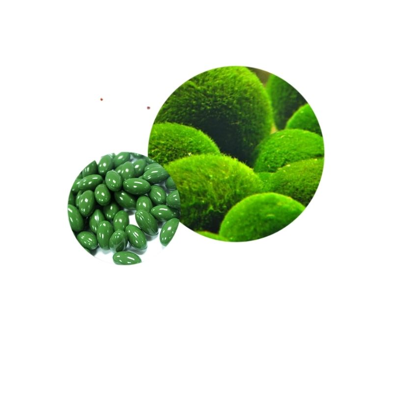 Spirulina – das heiße Produkt für Chlorophyll-Schönheit