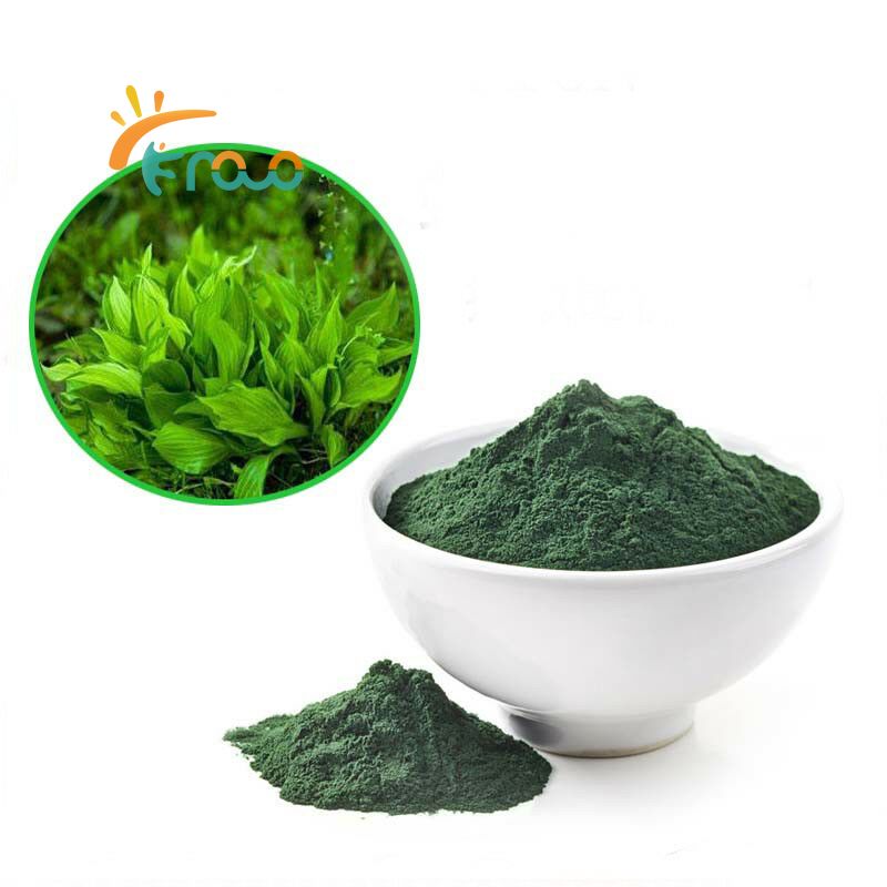 Welche Vorteile bietet Chlorella-Pulver?
