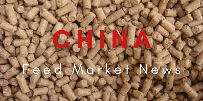 China Feed Maket News – Exportmarktanalyse von Lysin im September 2021